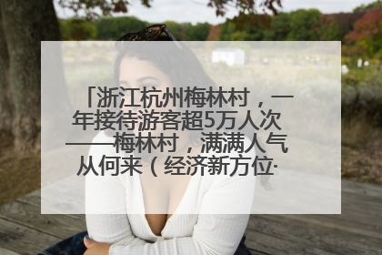 浙江杭州梅林村，一年接待游客超5万人次——梅林村，满满人气从何来（经济新方位·农村消费观察）